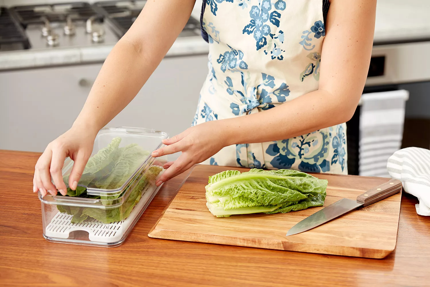 How To Store Garden Lettuce