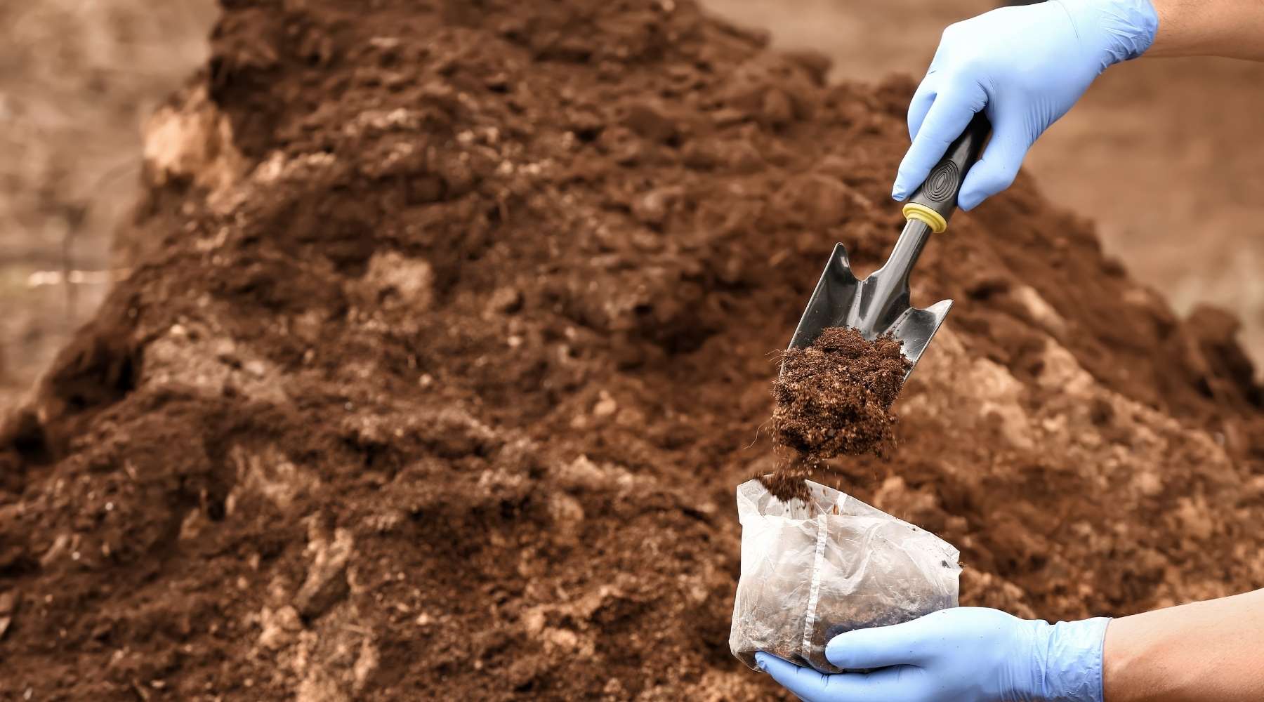 How To Test Your Garden Soil
