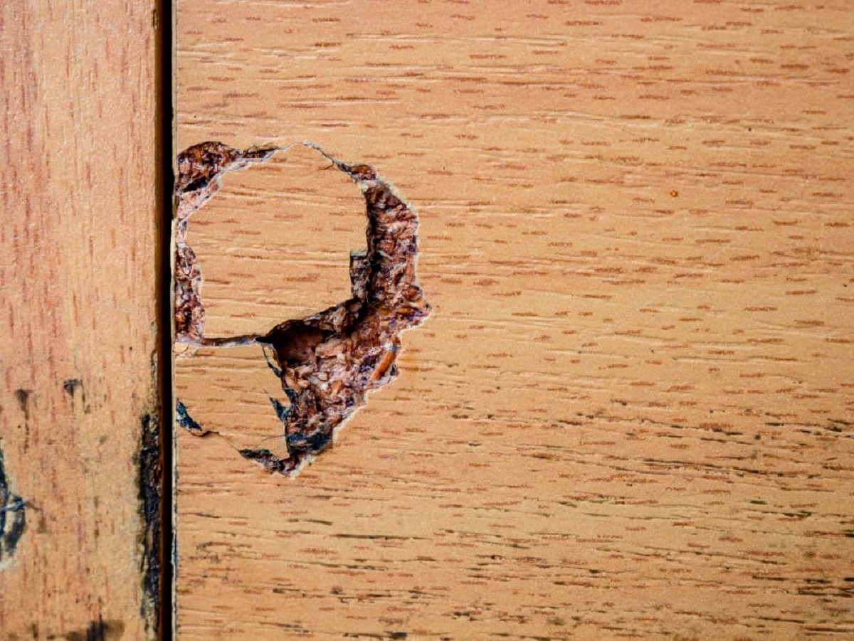 How To Treat A Single Piece Of Furniture For Termites