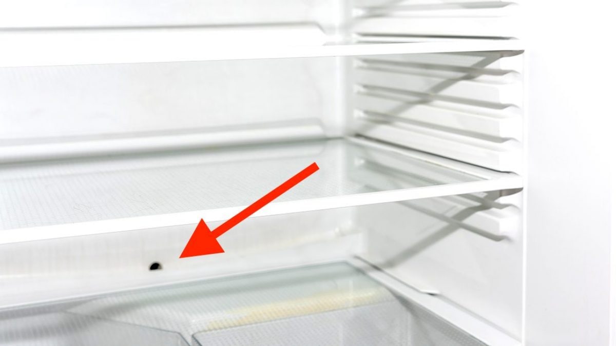 How To Unclog Freezer Drain