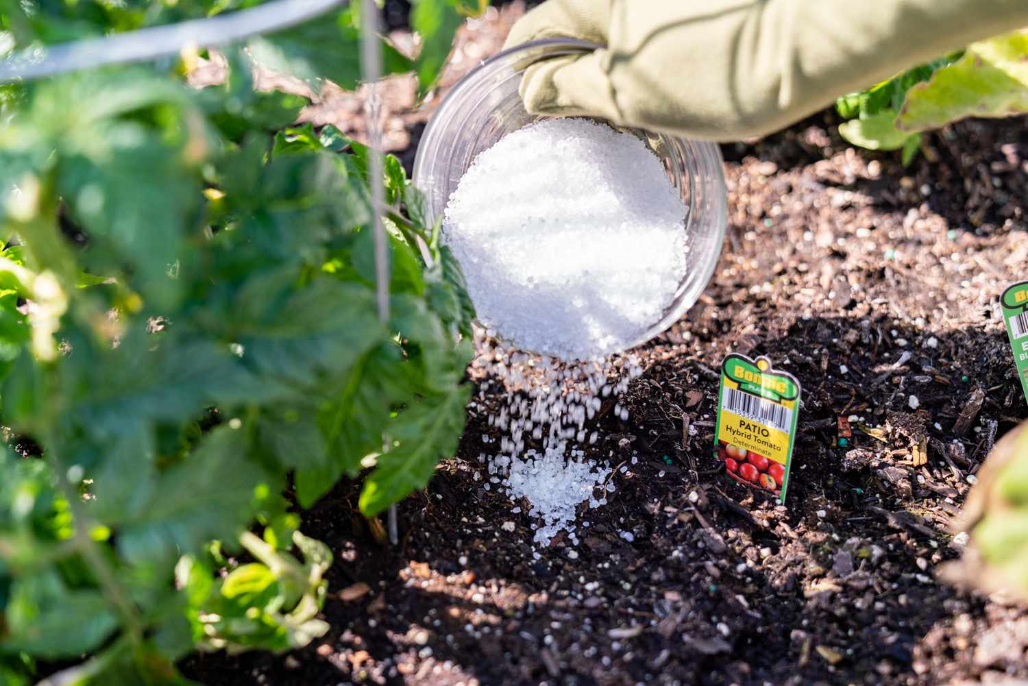 How To Use Epsom Salt In The Garden
