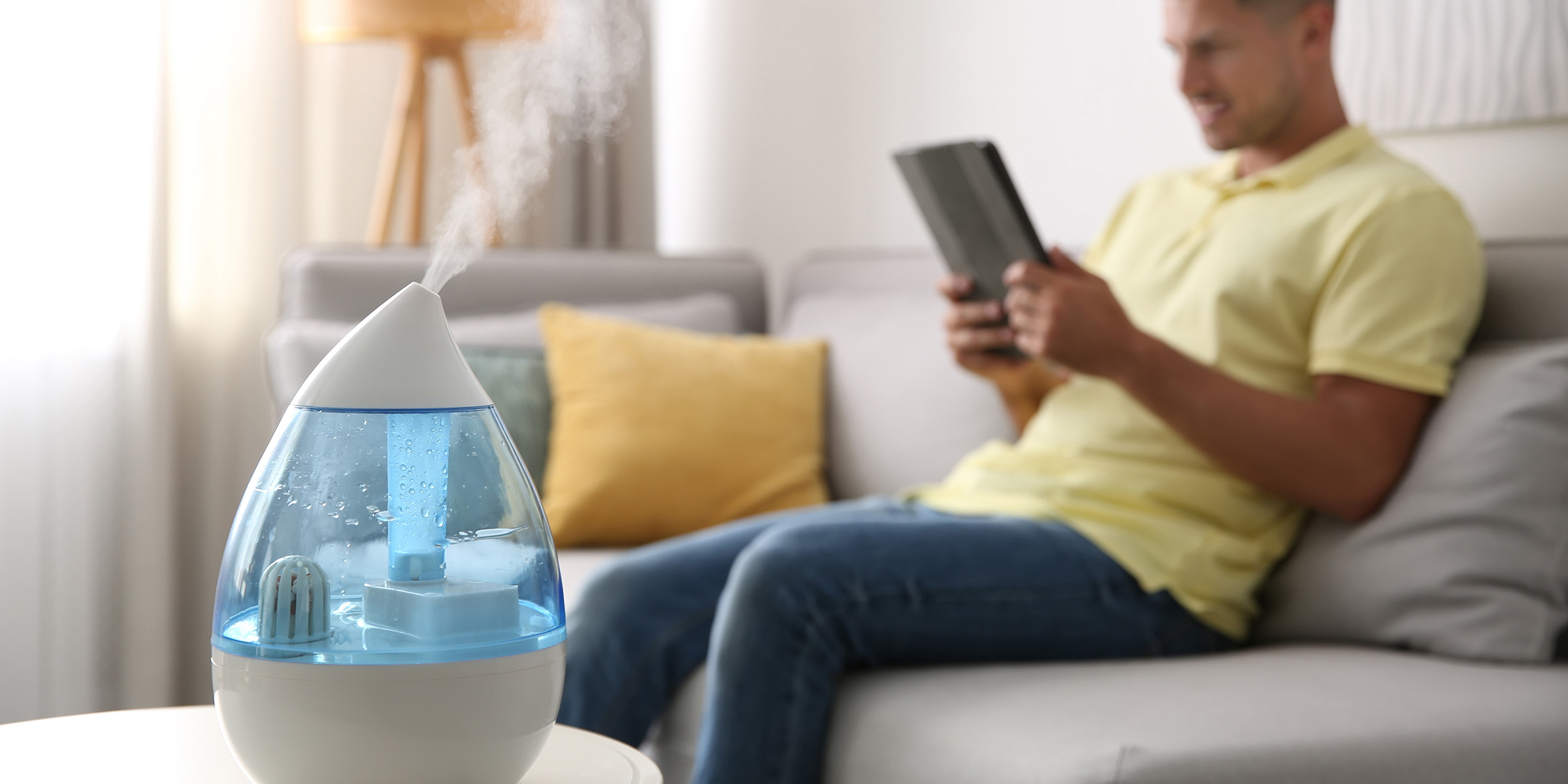 What Does Cool Mist Humidifier Do