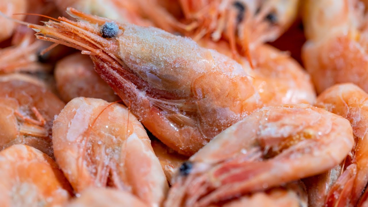 What Does Freezer Burnt Shrimp Look Like