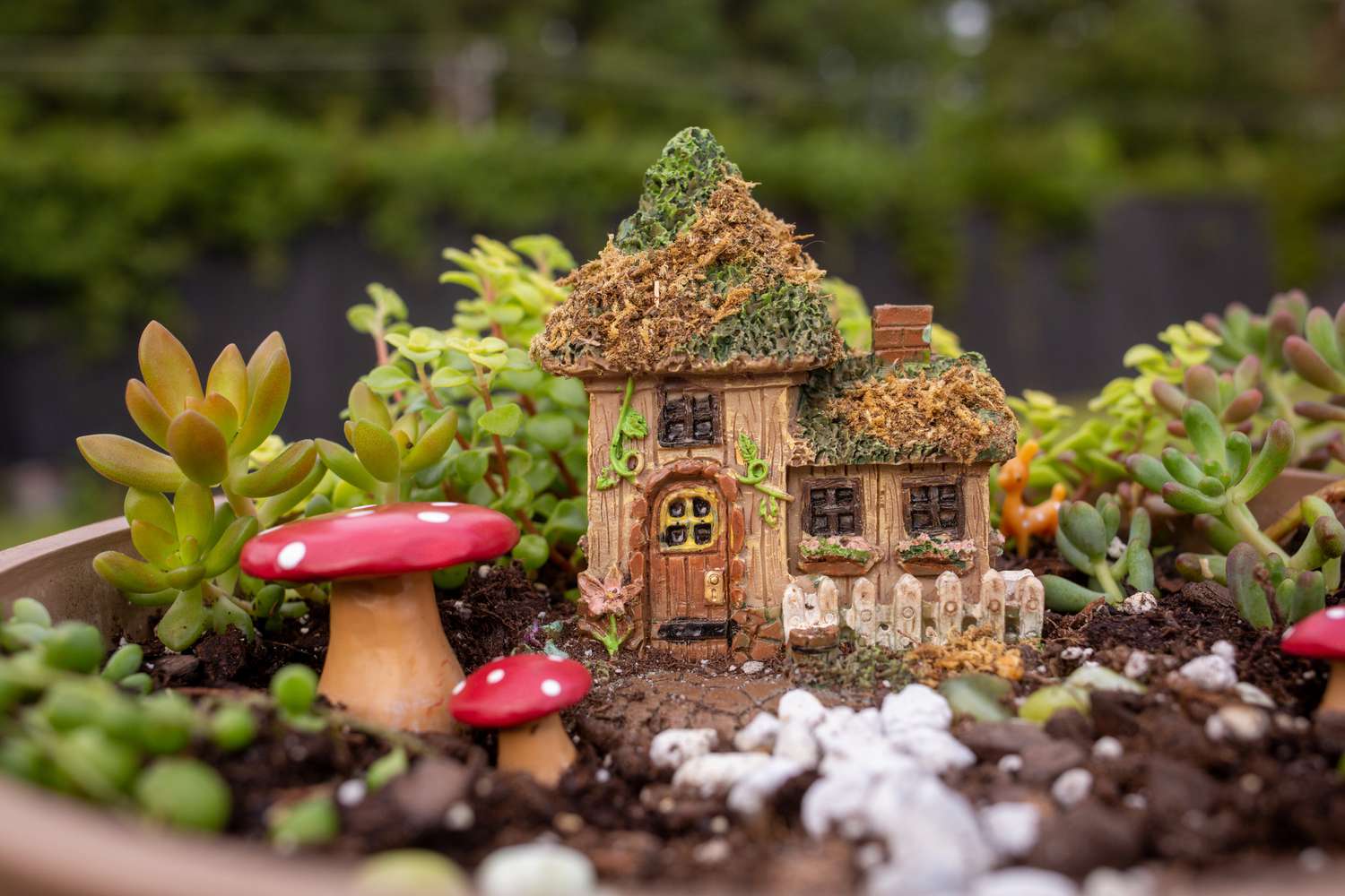 What Is A Fairy Garden