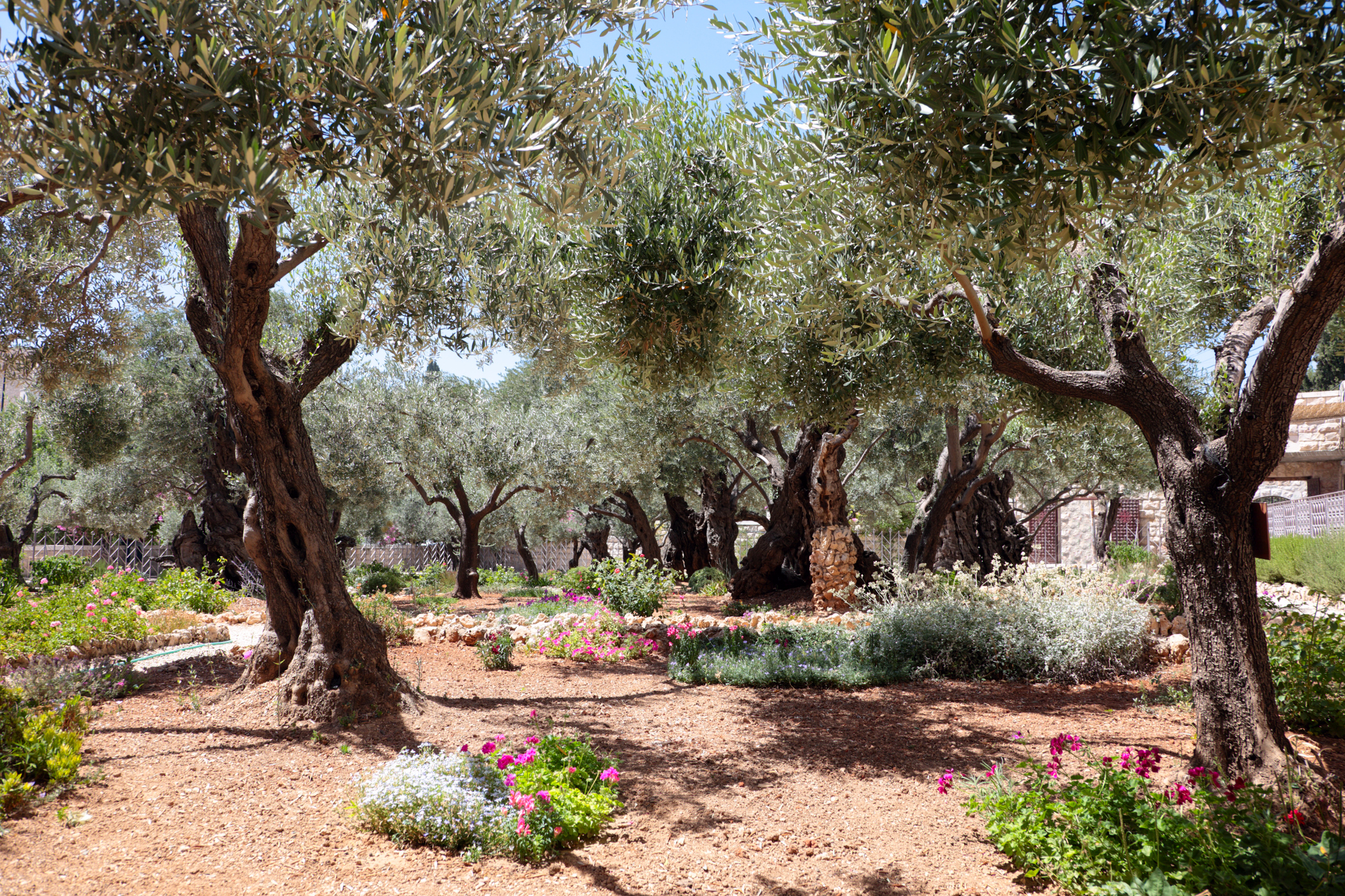 What Is Garden Of Gethsemane