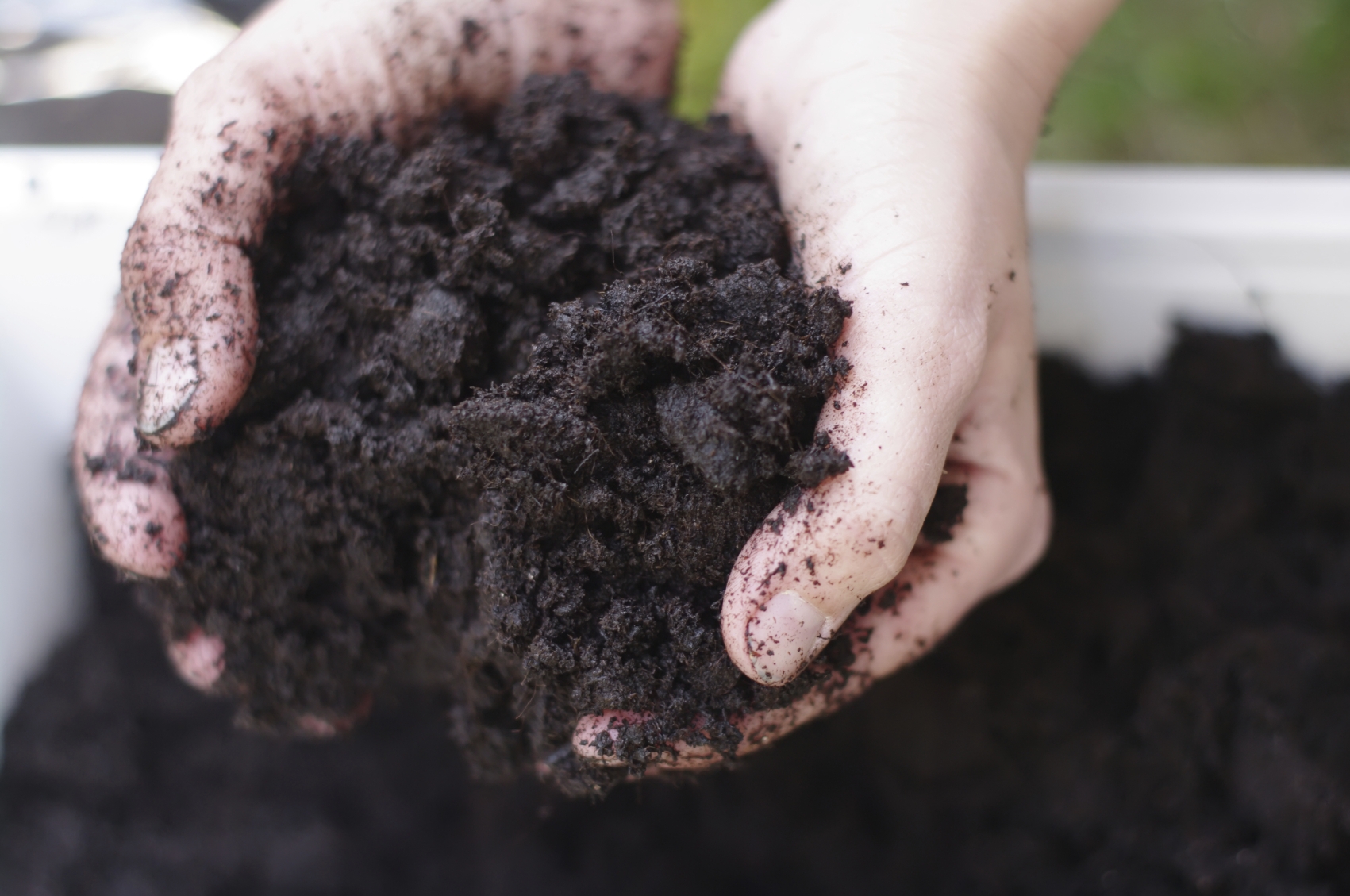 What Is Garden Soil