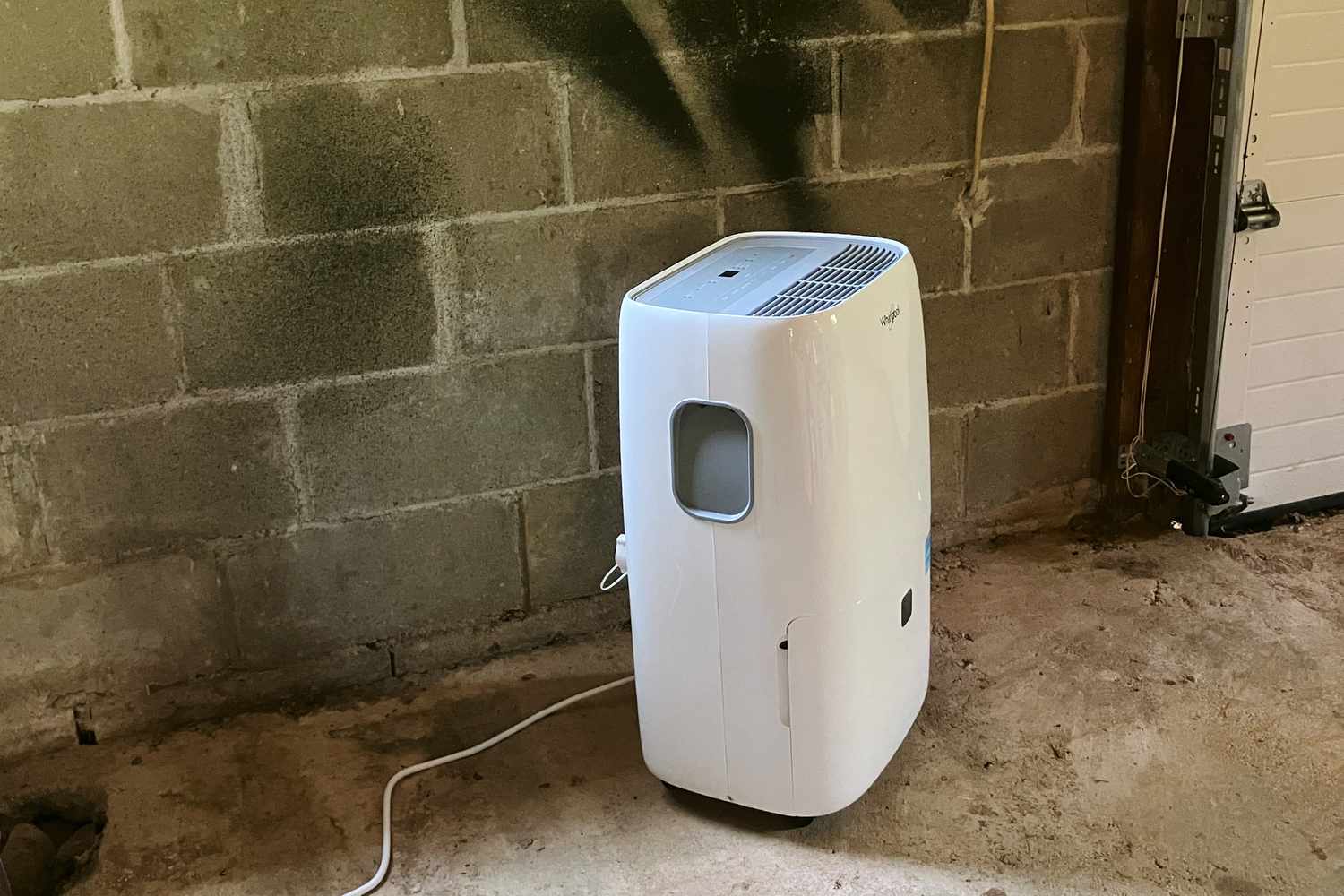Best Dehumidifiers for Damp Basements A Comprehensive Guide
