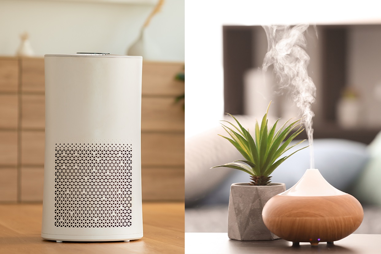 What Is The Difference Between Air Purifier And Humidifier