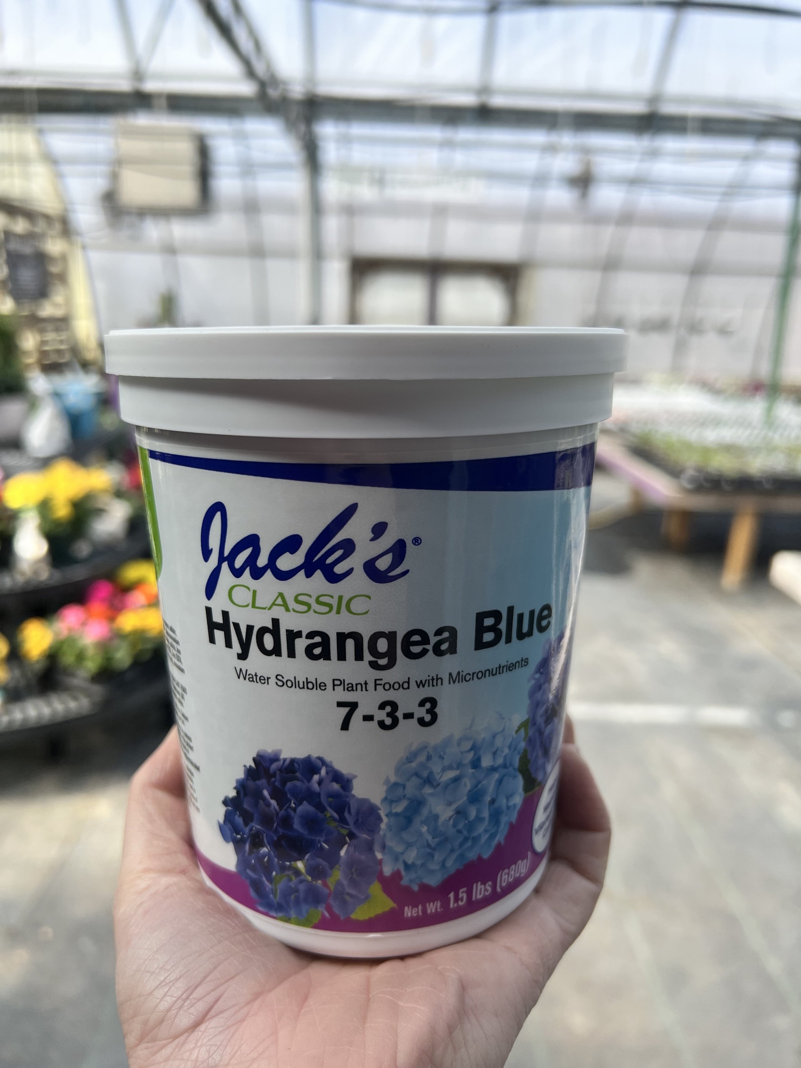 What Kind Of Fertilizer For Hydrangeas