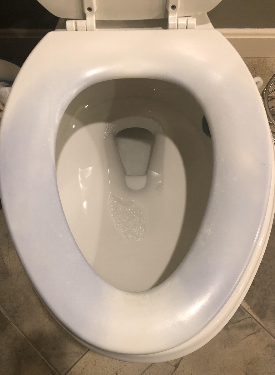 Why Did My Toilet Seat Turn Blue Storables