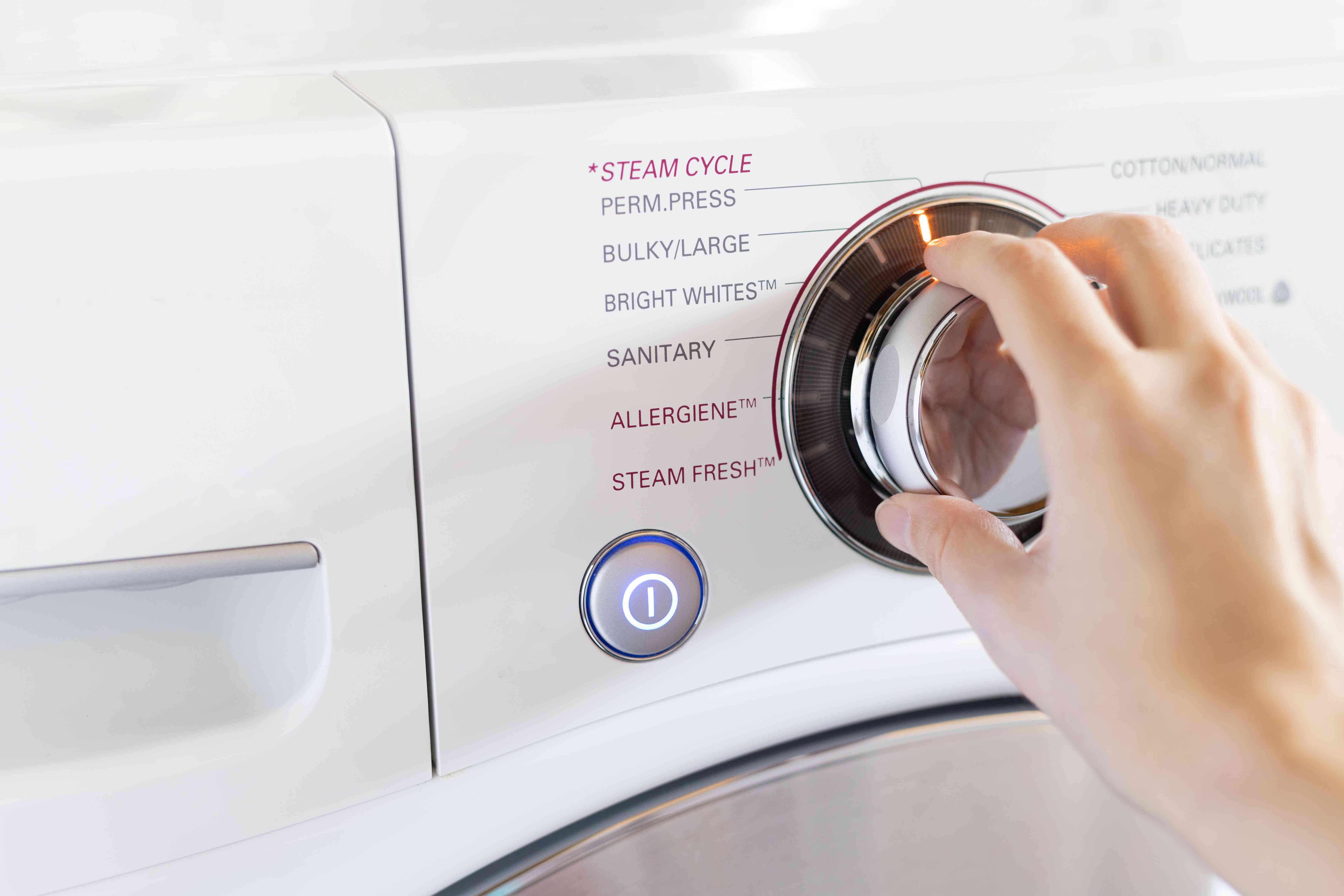 10 Best Steam Washer For 2024 Storables