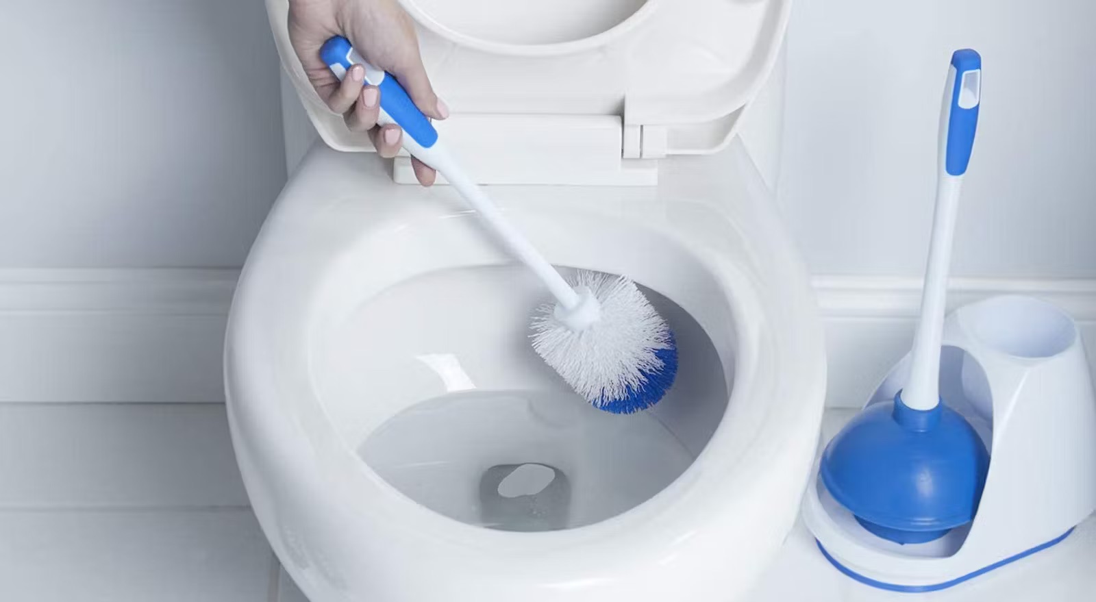 10 Best Toilet Brushes for 2023