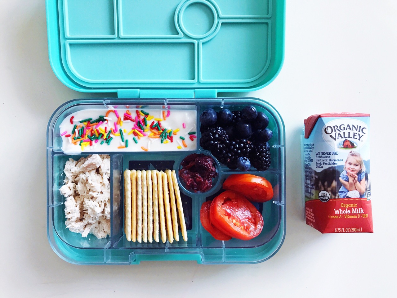Fit and Fresh Multi-Flex Bento Lunch Box with 2 Ice Packs Meal Prep storage