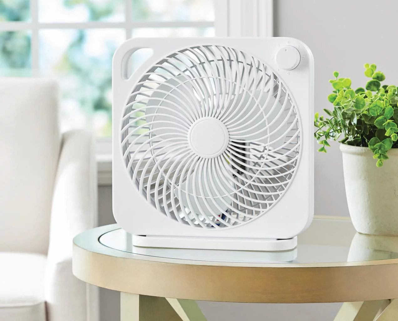 11 Amazing Small Box Fan for 2024