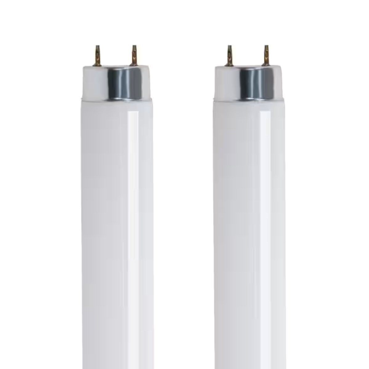 11 Best 2 Pack Replacement For Fluorescent Tubes 4Ft for 2024