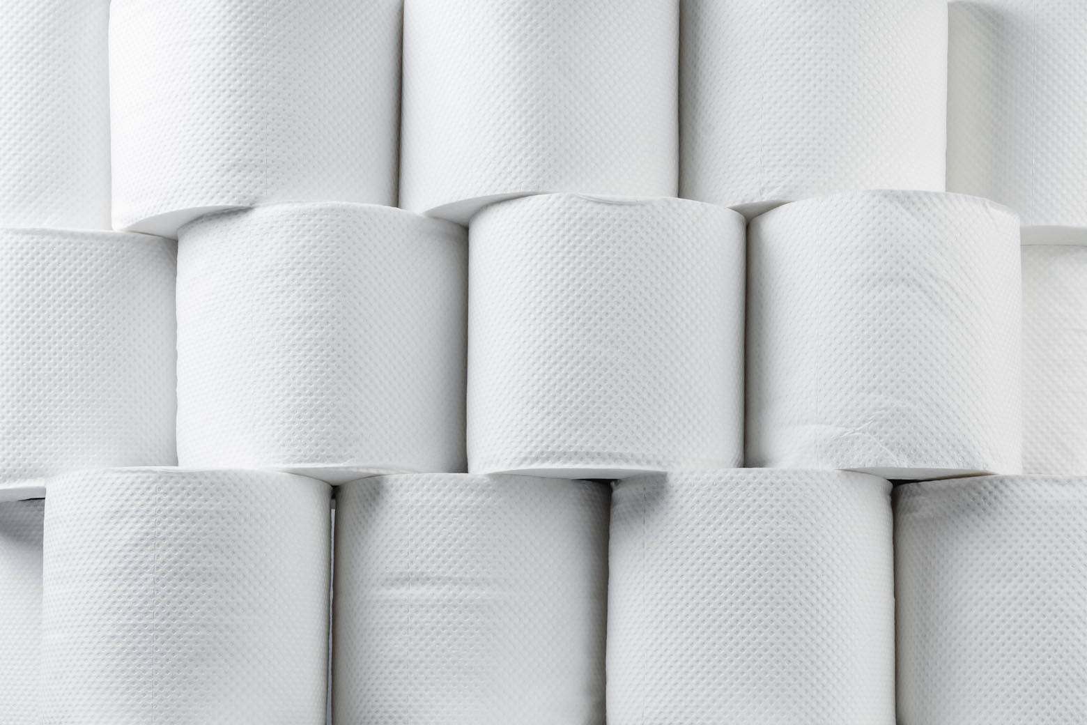 11 Best 2 Ply Toilet Paper for 2023