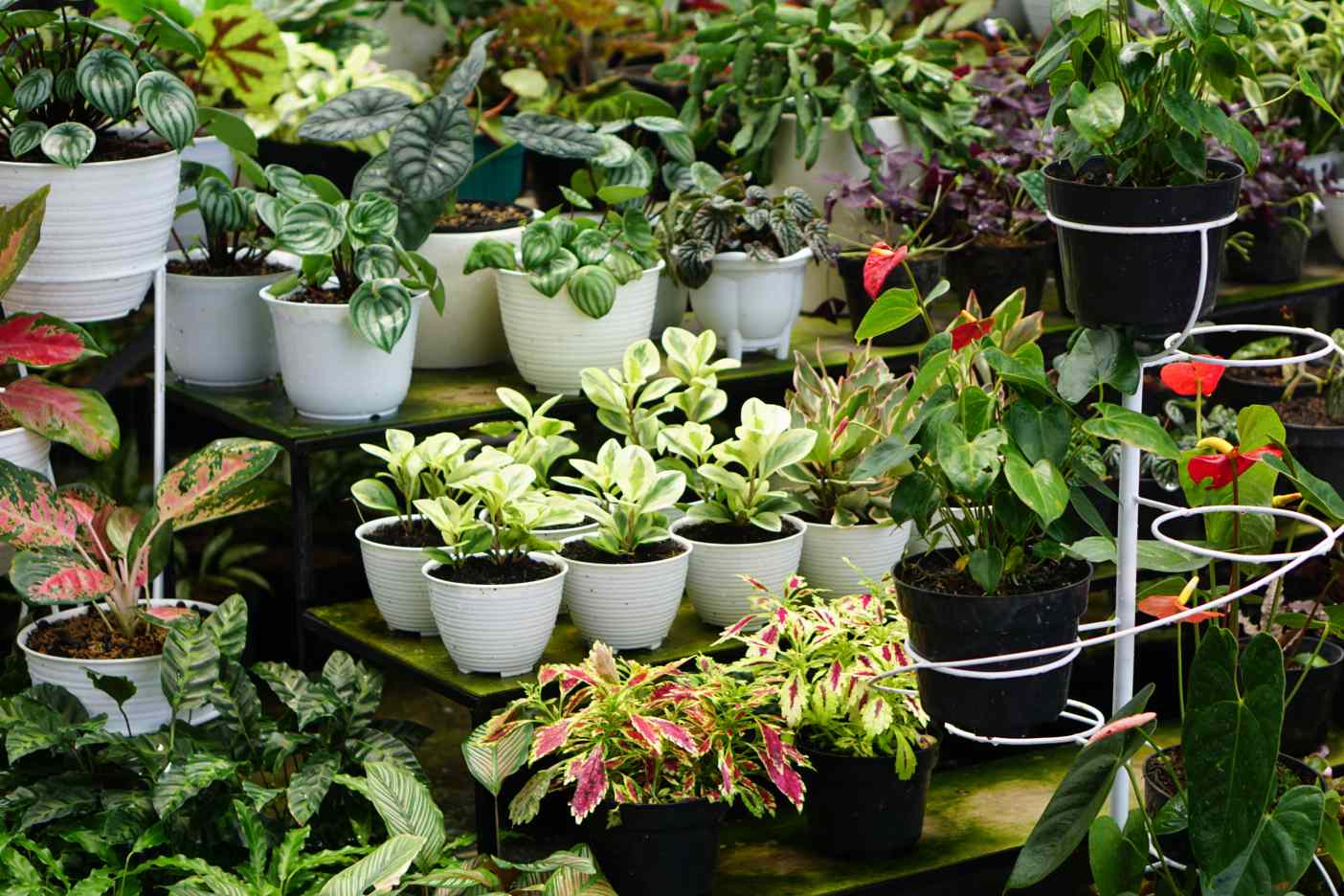 11 Best Indoor Garden Pots For 2024