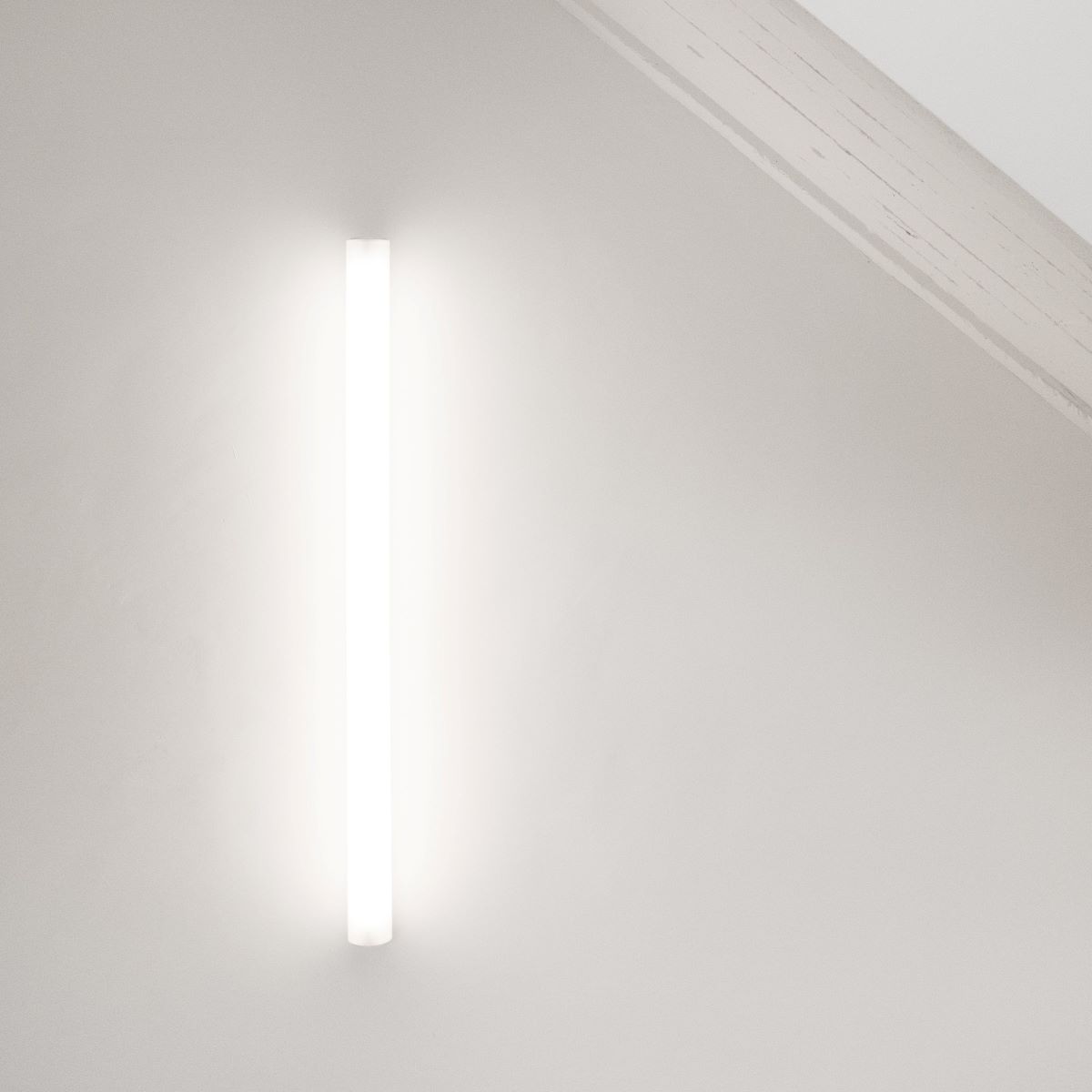 11 Best Natural Daylight Fluorescent Tubes for 2024