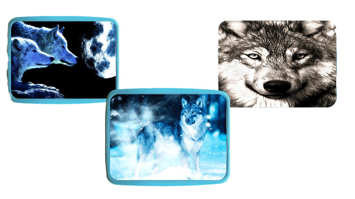 11 Best Wolf Lunch Box for 2024
