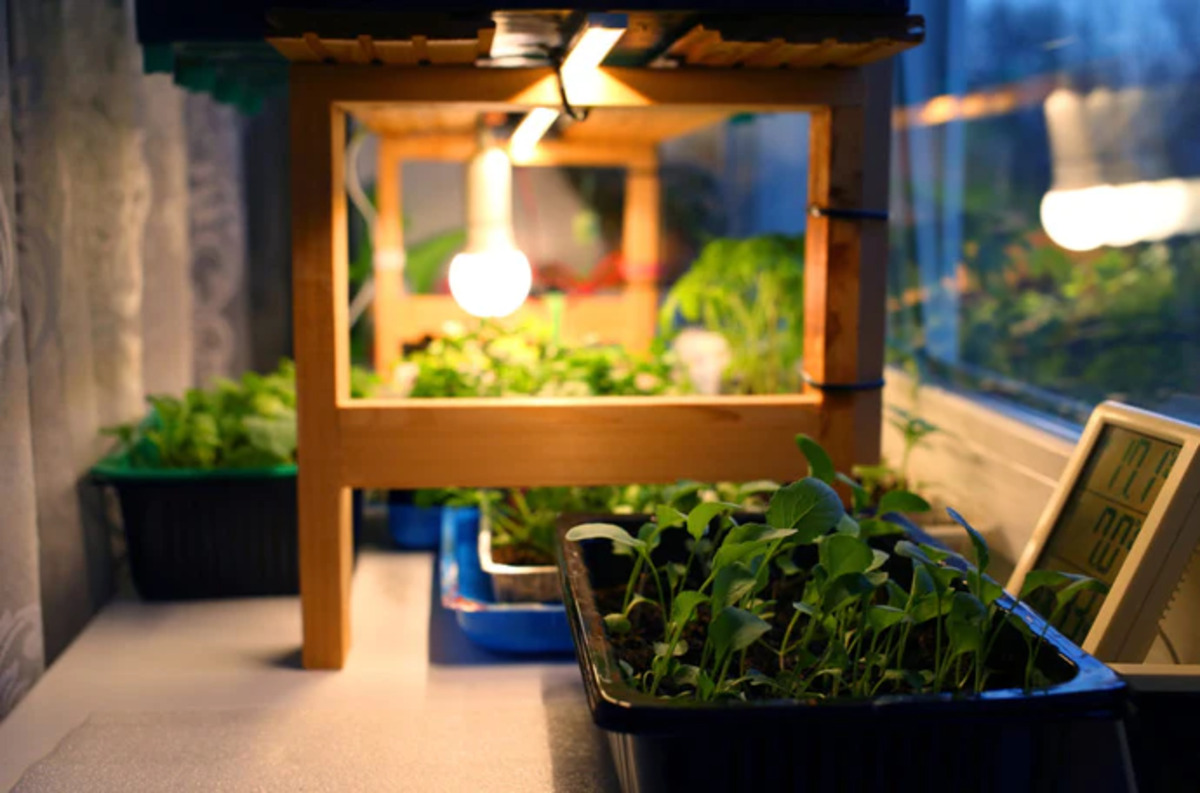 11 Superior Indoor Garden Grow Light For 2023