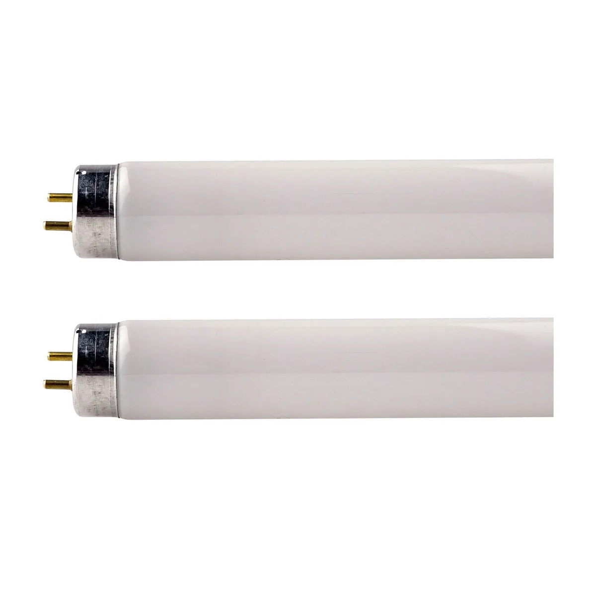 12 Amazing 2 Ft. Fluorescent Tubes for 2024