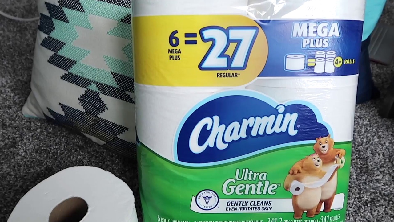 12 Amazing Charmin Ultra Gentle Toilet Paper for 2024