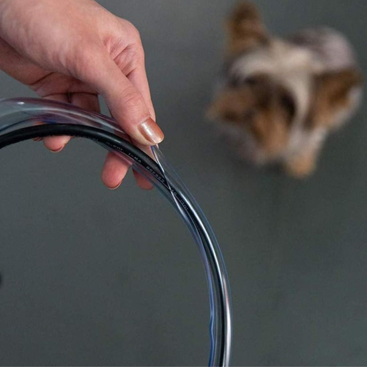12 Amazing Electrical Cord Covers For Pets for 2023