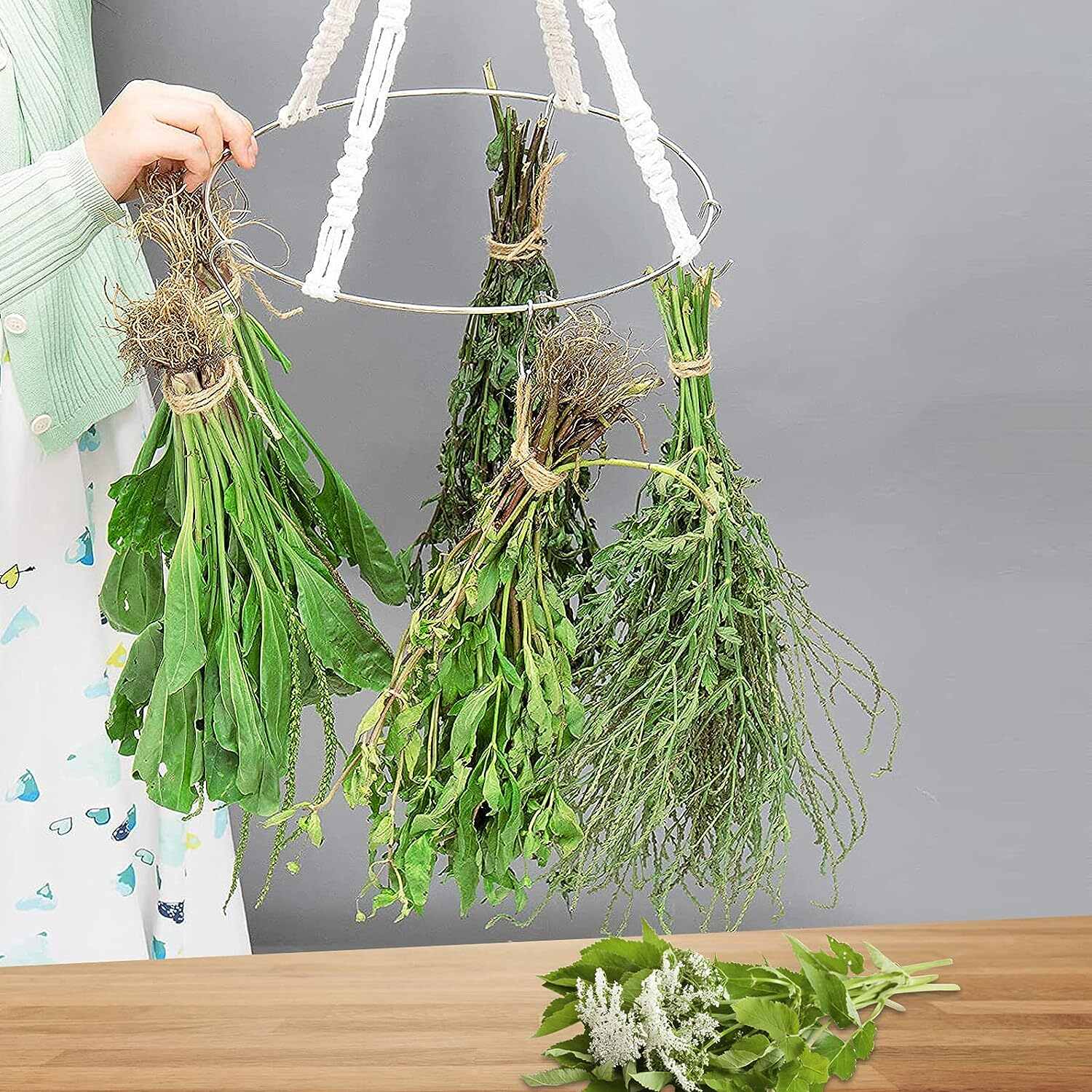 12 Amazing Herb Dryer For 2024