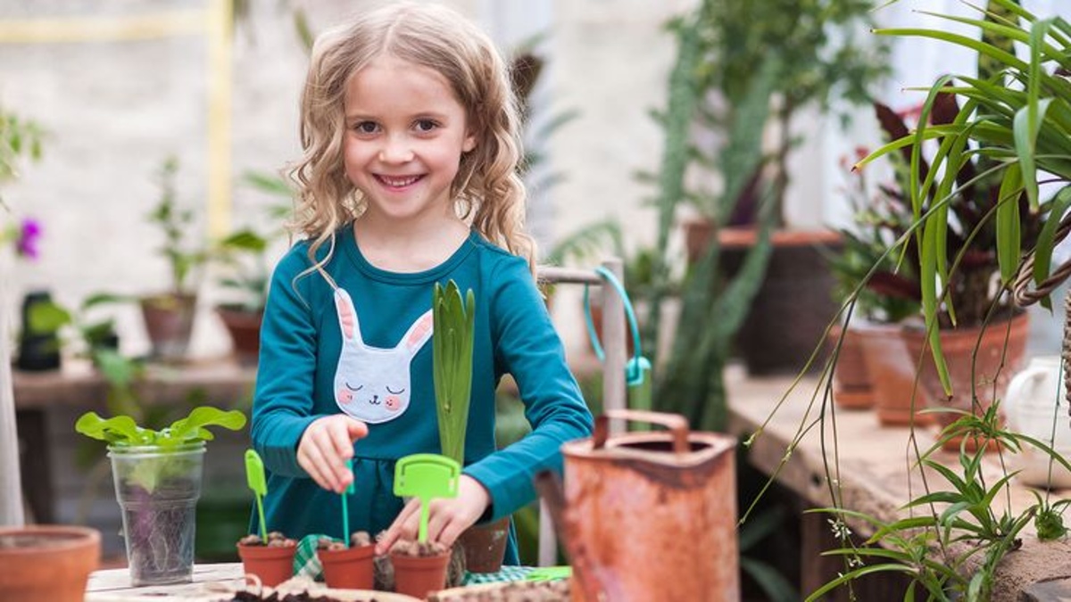 12 Amazing Kids Indoor Garden For 2024