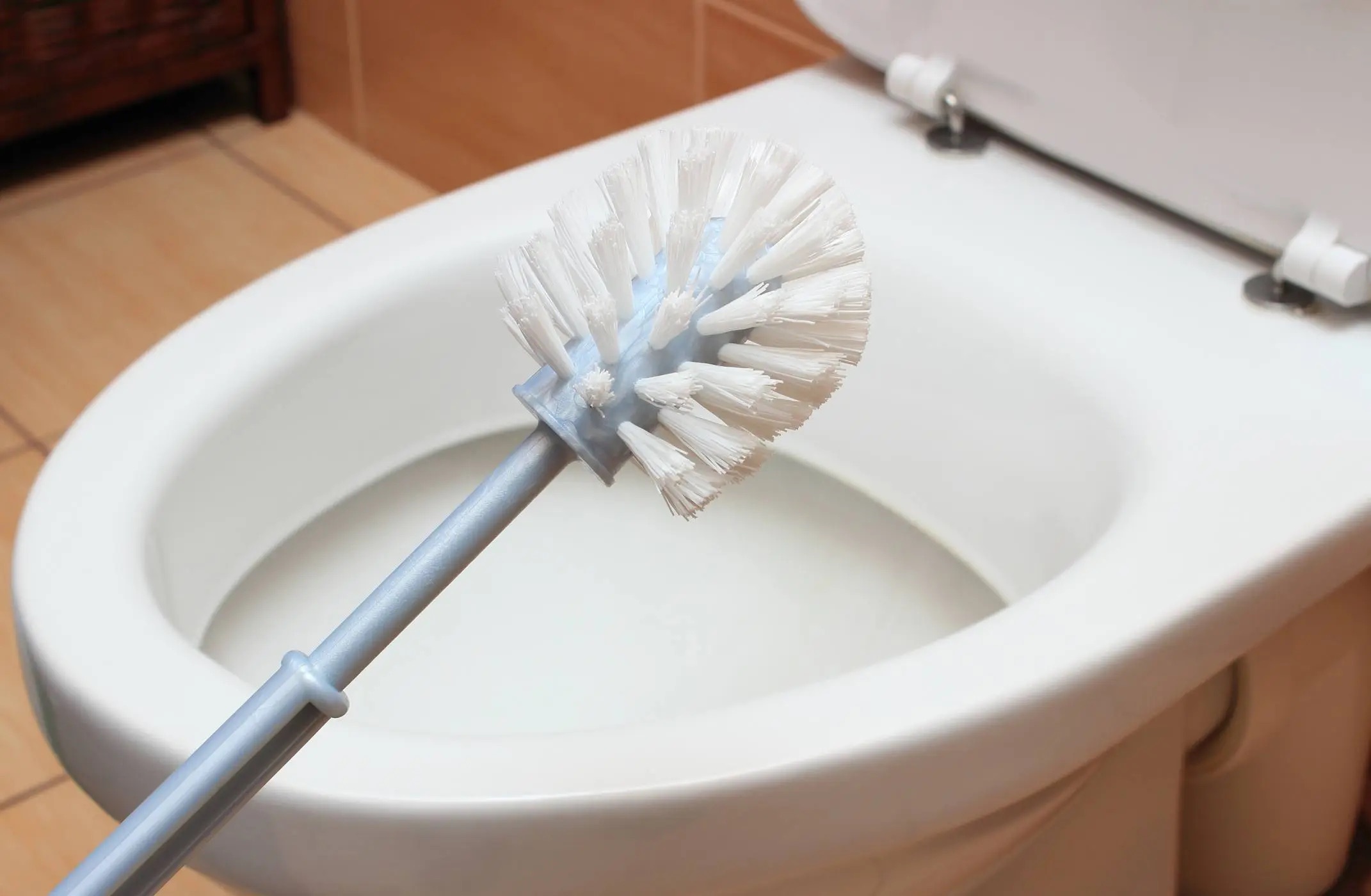 1 pc household toilet brush with no dead corners, household cleaning,  washing, toilet wall hanging plastic long handle brush, toilet toilet brush