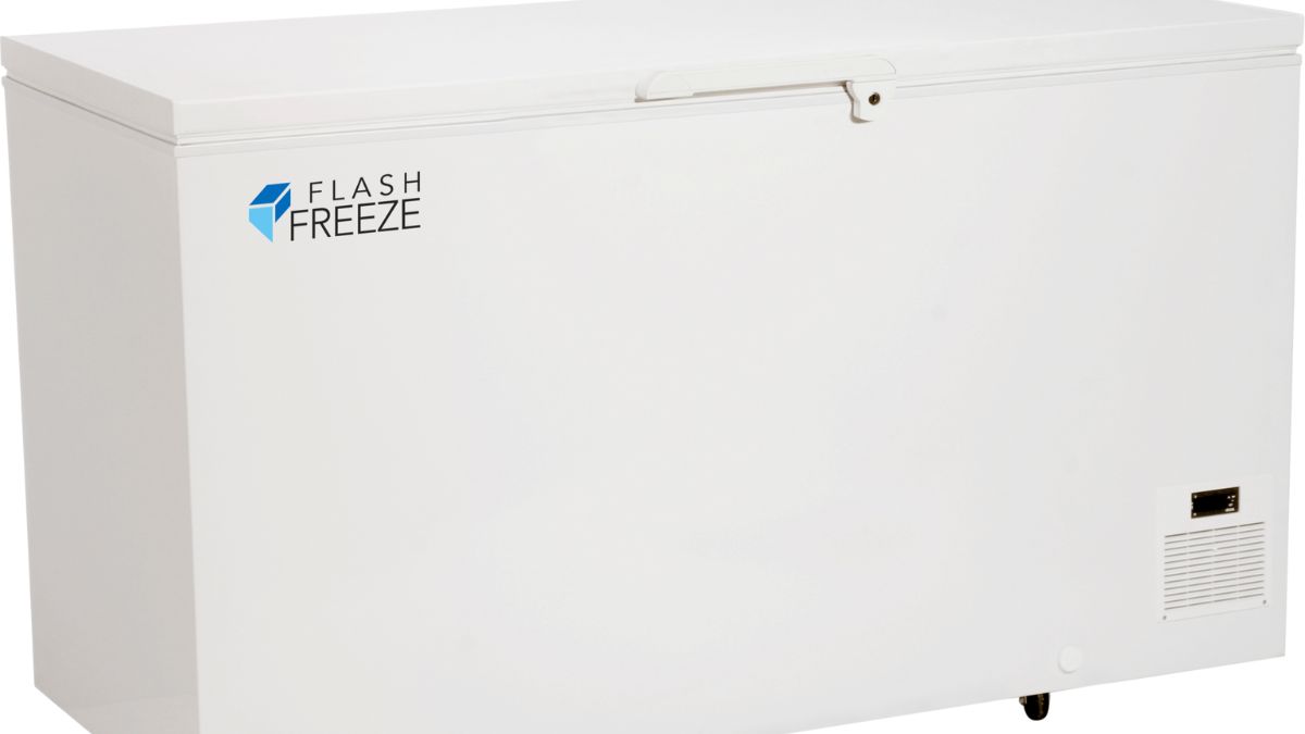12 Best Flash Freezer For 2023