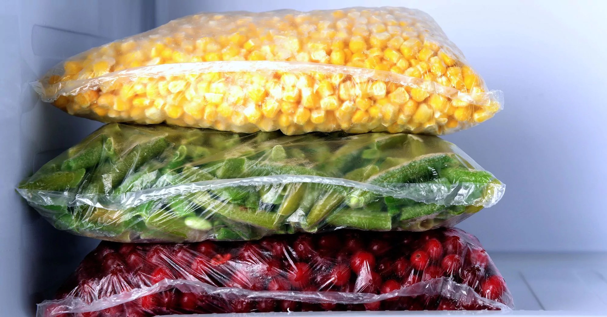 12 Best Freezer Storage Bags For 2024