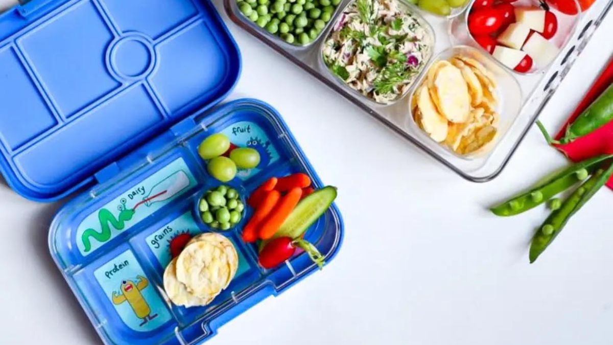 12 Best Yumbox Lunch Box for 2024