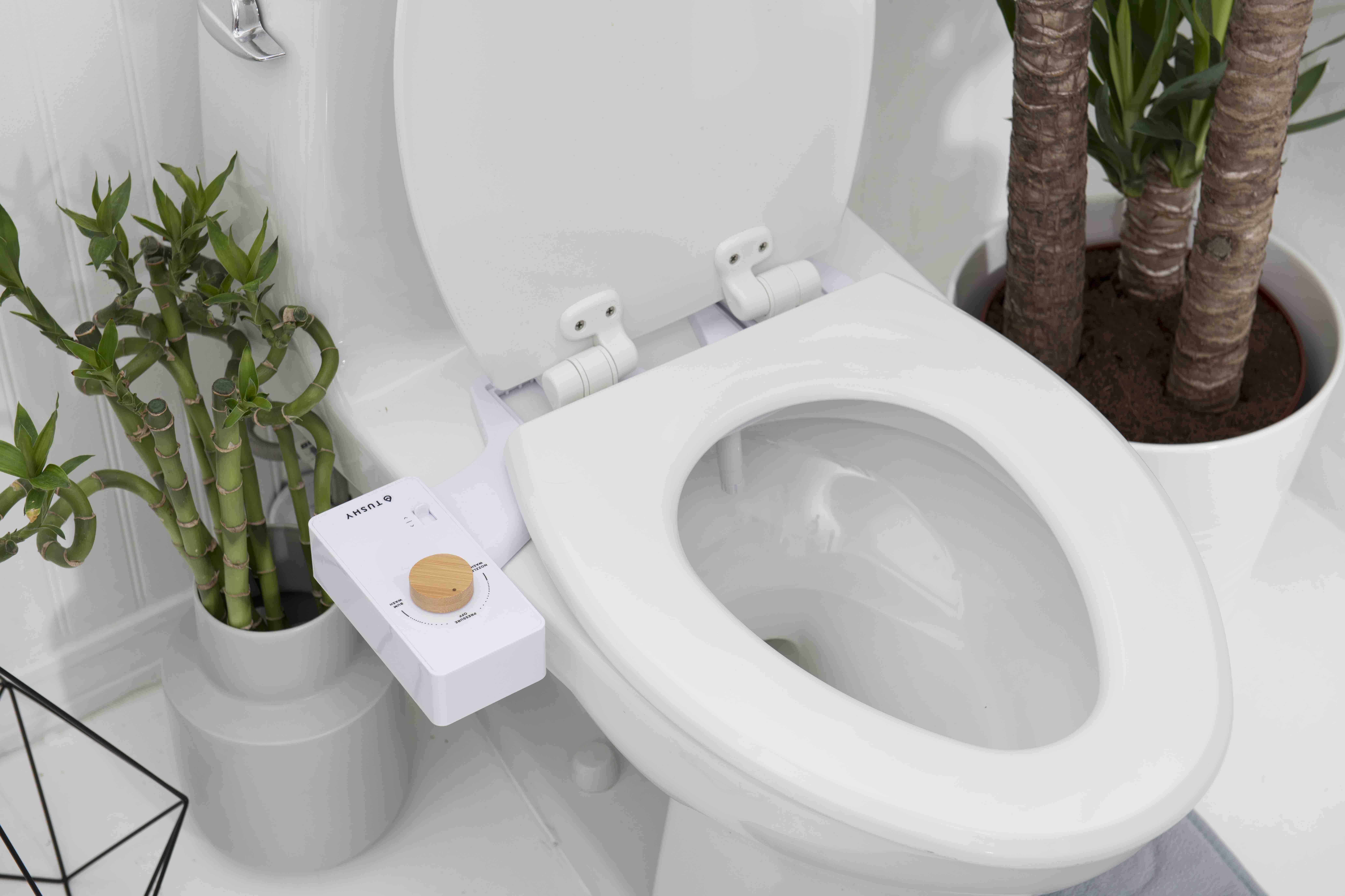 13 Amazing Bidet Toilet Seat Attachment for 2023