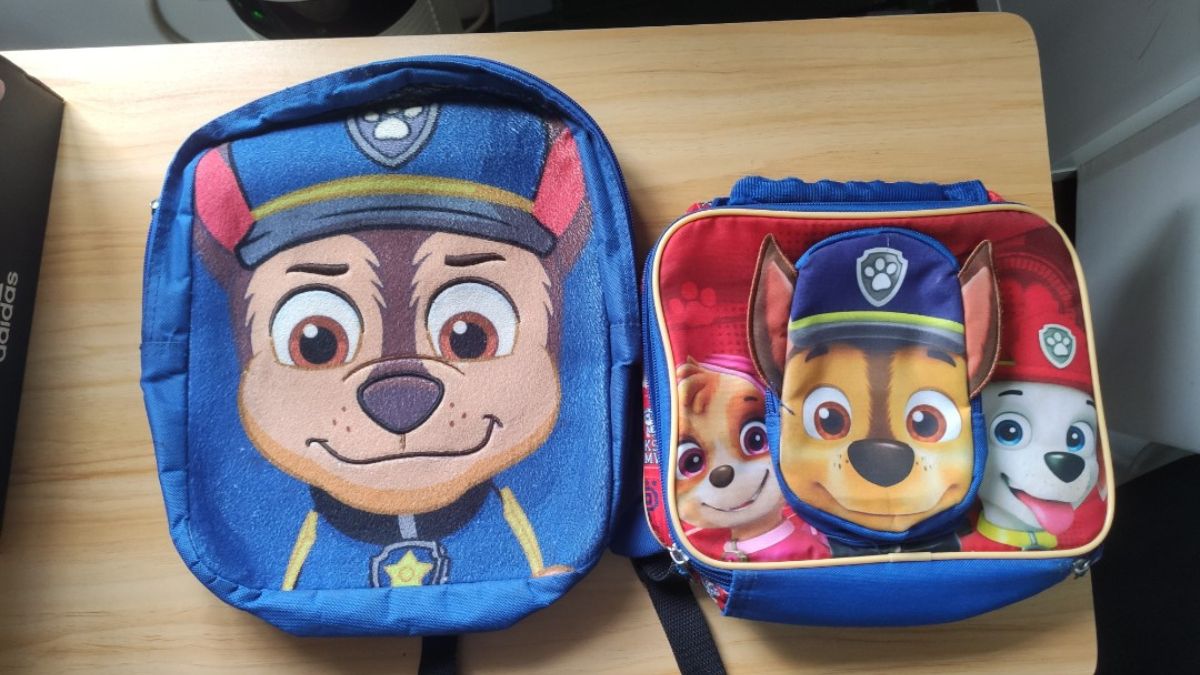 13 Amazing Paw Patrol Lunch Box For Boys for 2024