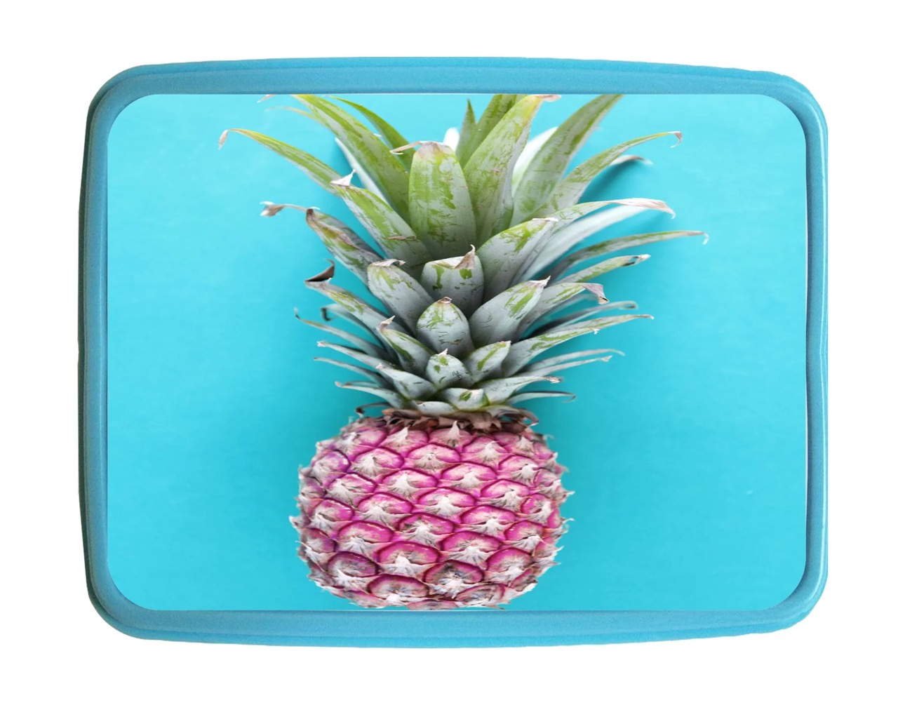 13 Amazing Pineapple Lunch Box for 2024
