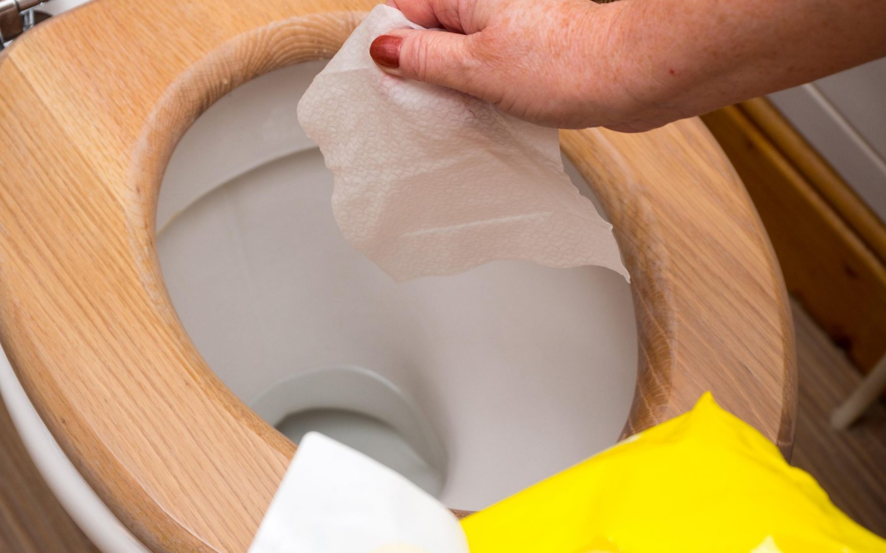13 Amazing Wipes Toilet Flushable for 2024