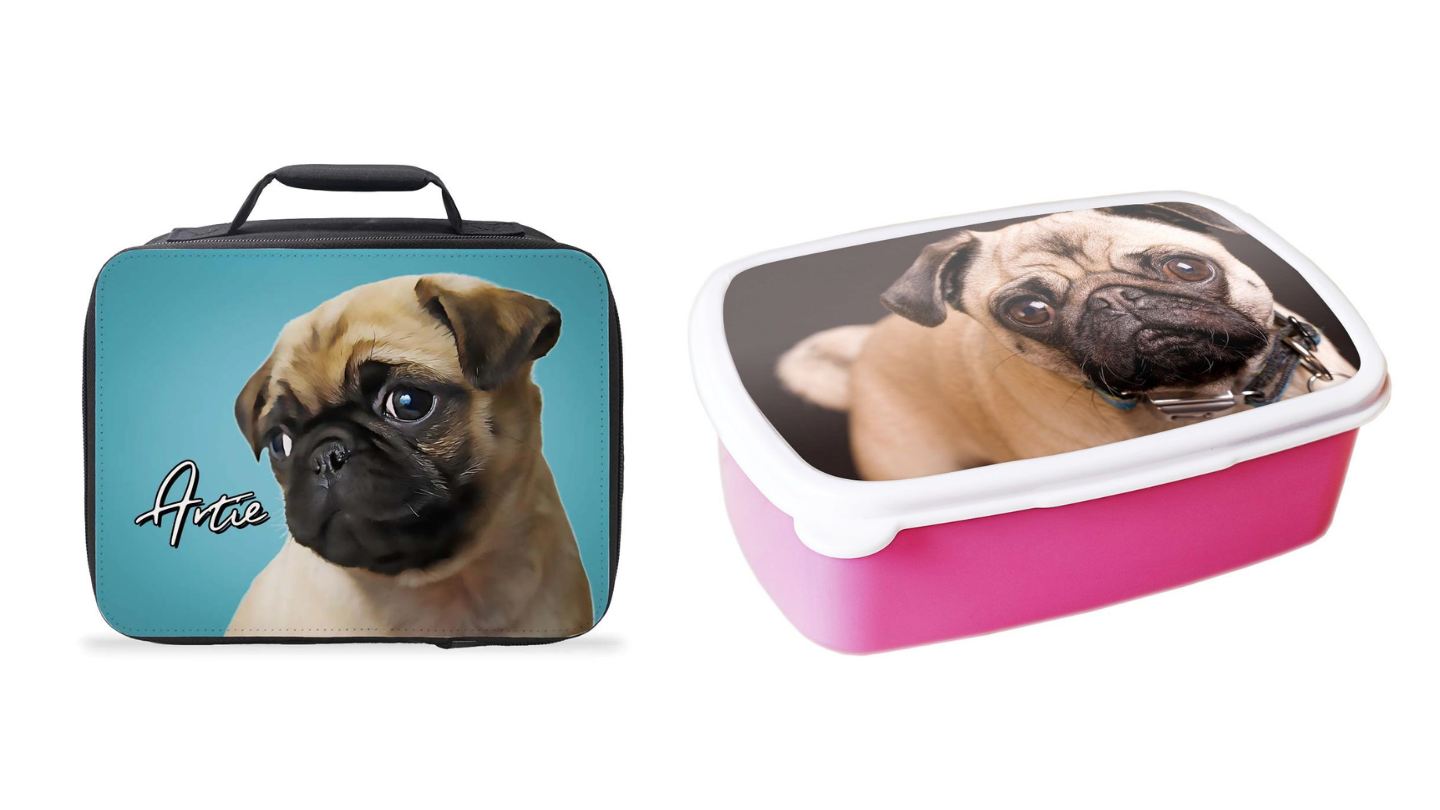 13 Best Pug Lunch Box for 2023