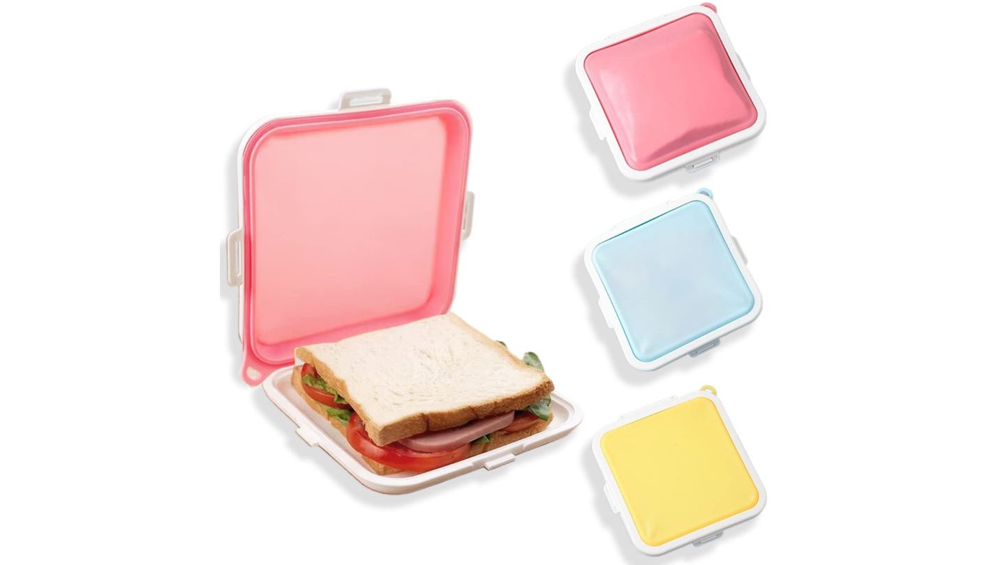 13 Best Sandwich Lunch Box for 2024
