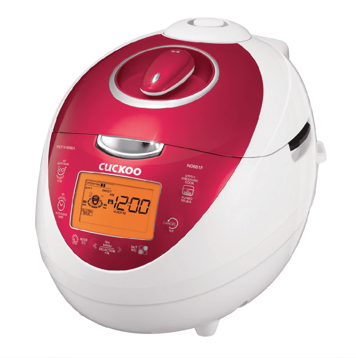13 Best Talking Rice Cooker For 2024