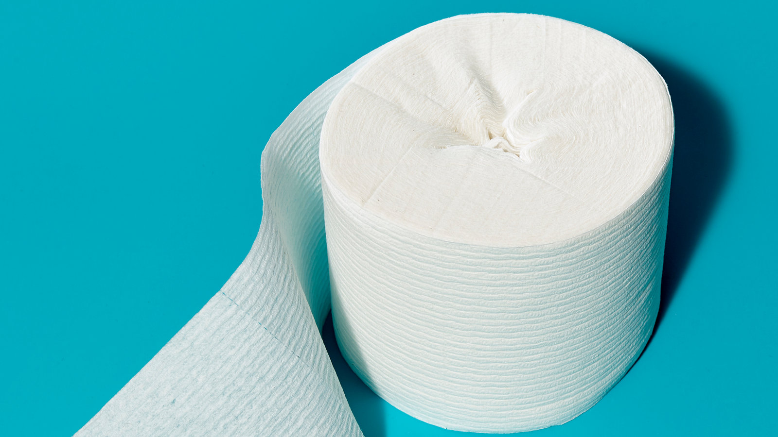 13 Best Tubeless Toilet Paper for 2024