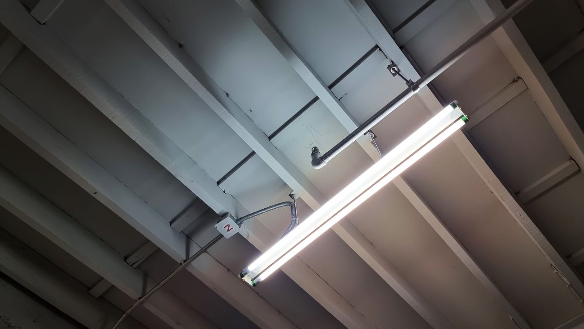 14 Amazing Brightest Fluorescent Tubes for 2024