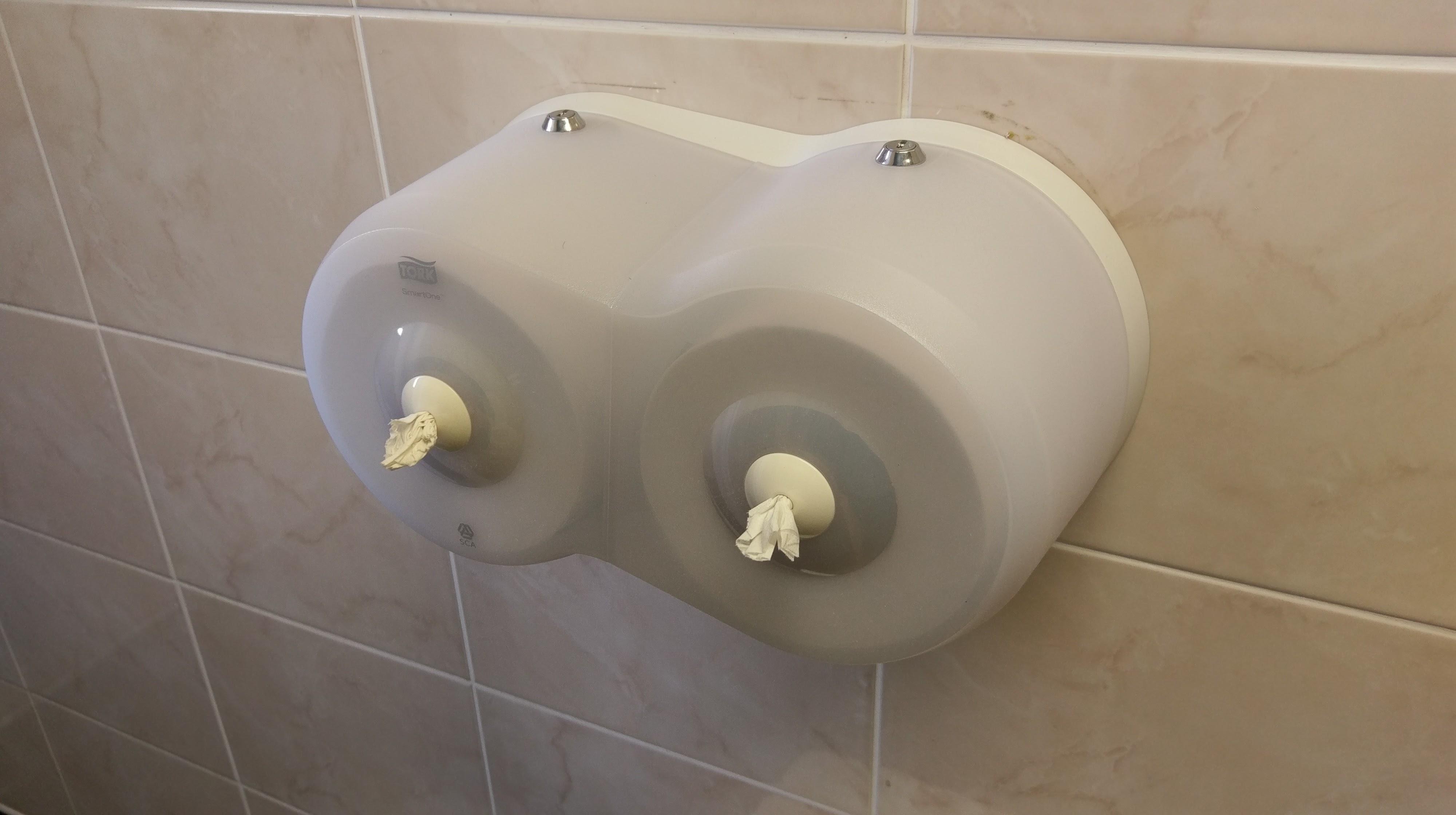 14 Amazing Commercial Toilet Paper Dispenser for 2024