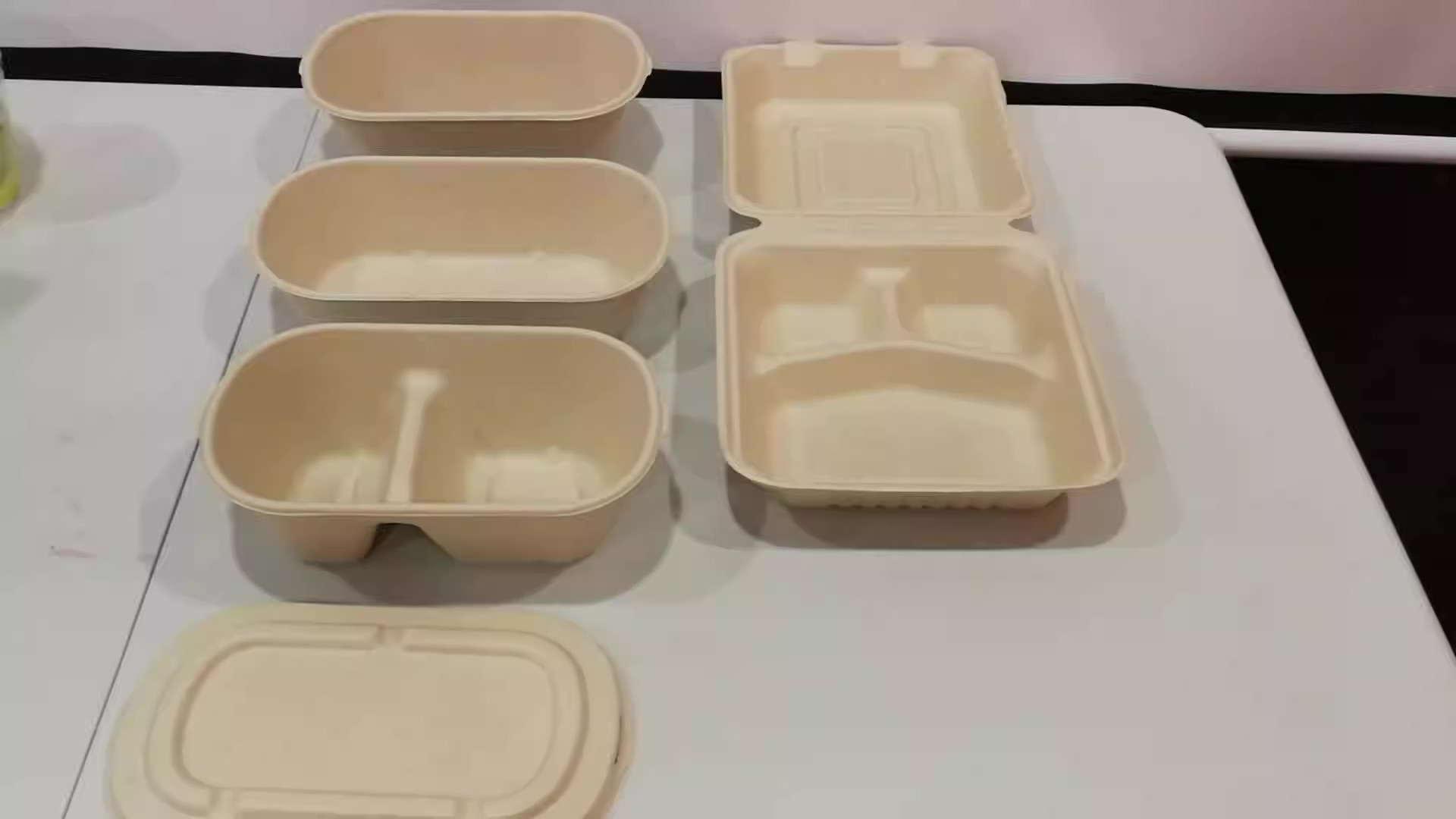 14 Amazing Disposable Lunch Box for 2023