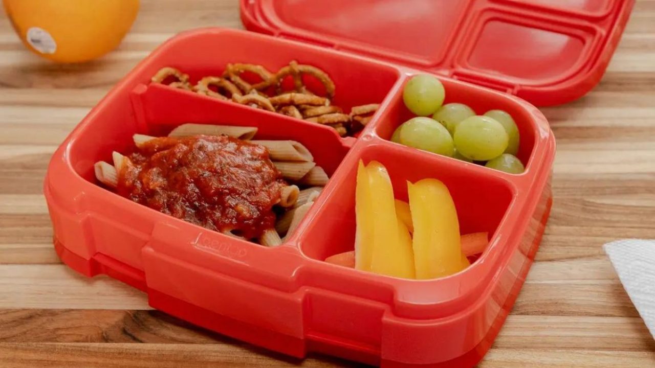  OmieBox Bento Box for Kids - Insulated Lunch Box with Leak  Proof Thermos Food Jar - 3 Compartments, Two Temperature Zones - (Meadow)  (Single) (Packaging May Vary): Home & Kitchen