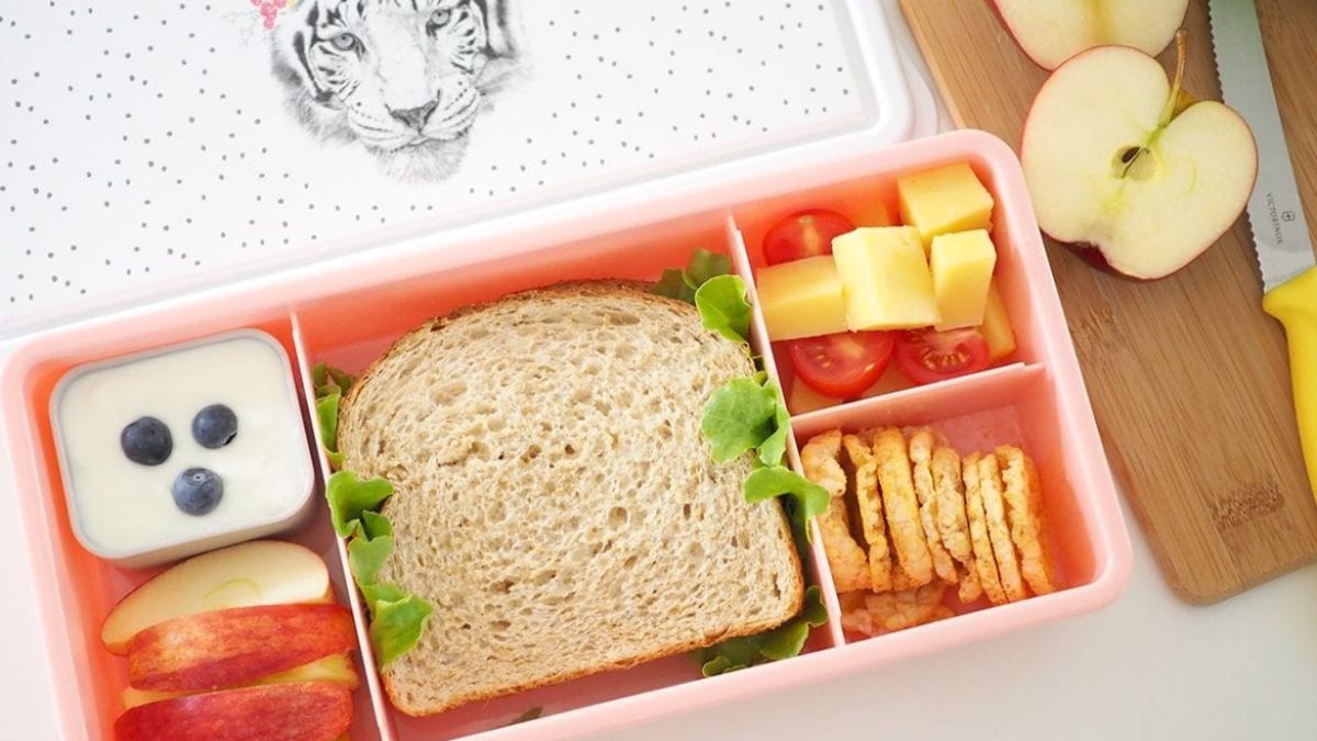 14 Amazing Lunch Box For School for 2024