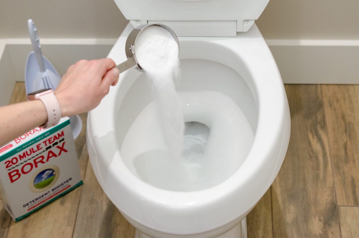 14 Amazing Toilet Cleaning for 2023