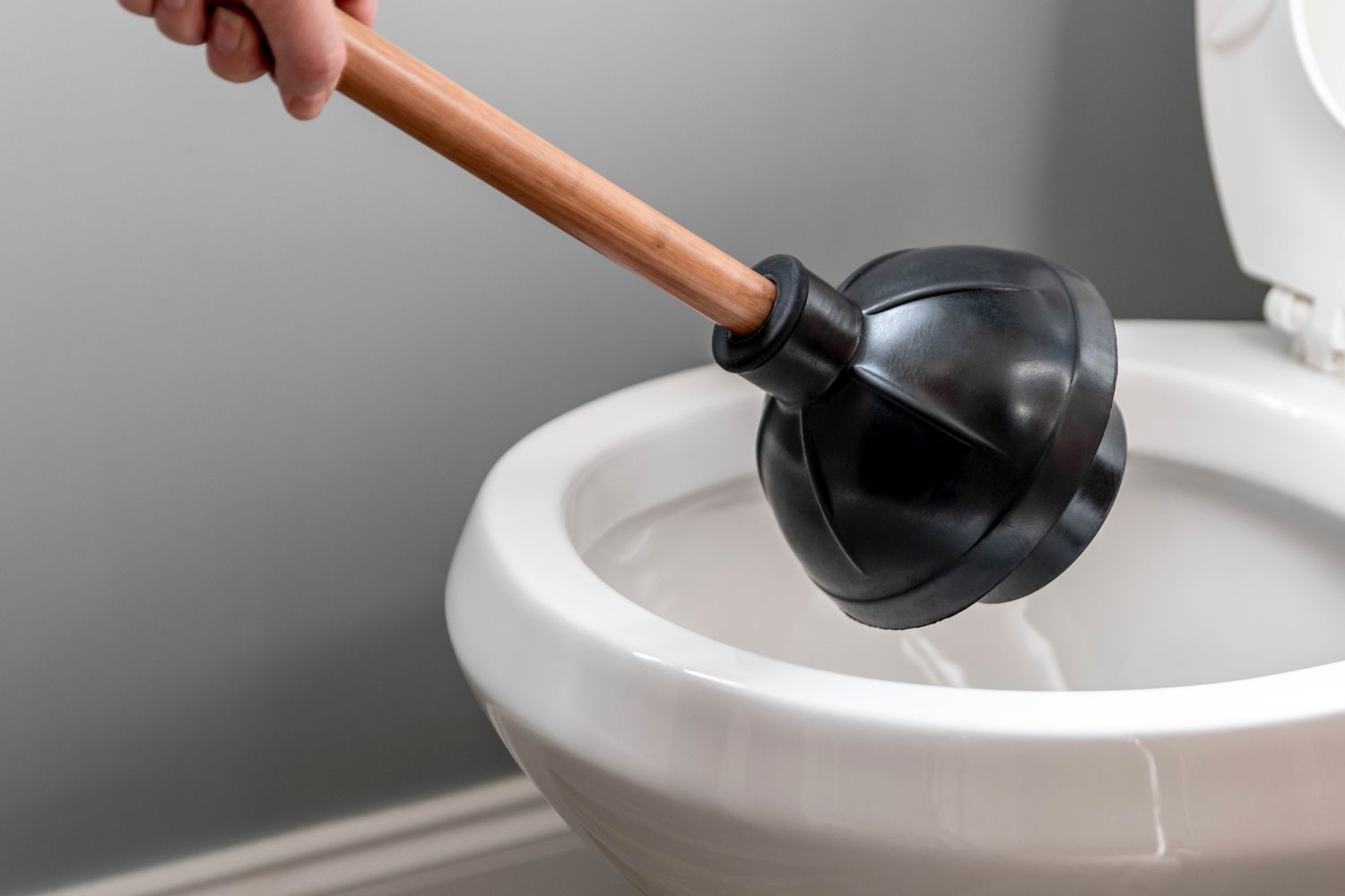 14 Amazing Toilet Plungers Heavy Duty for 2024
