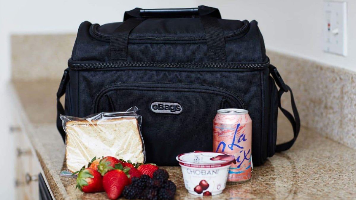 14 Best Big Lunch Box for 2024
