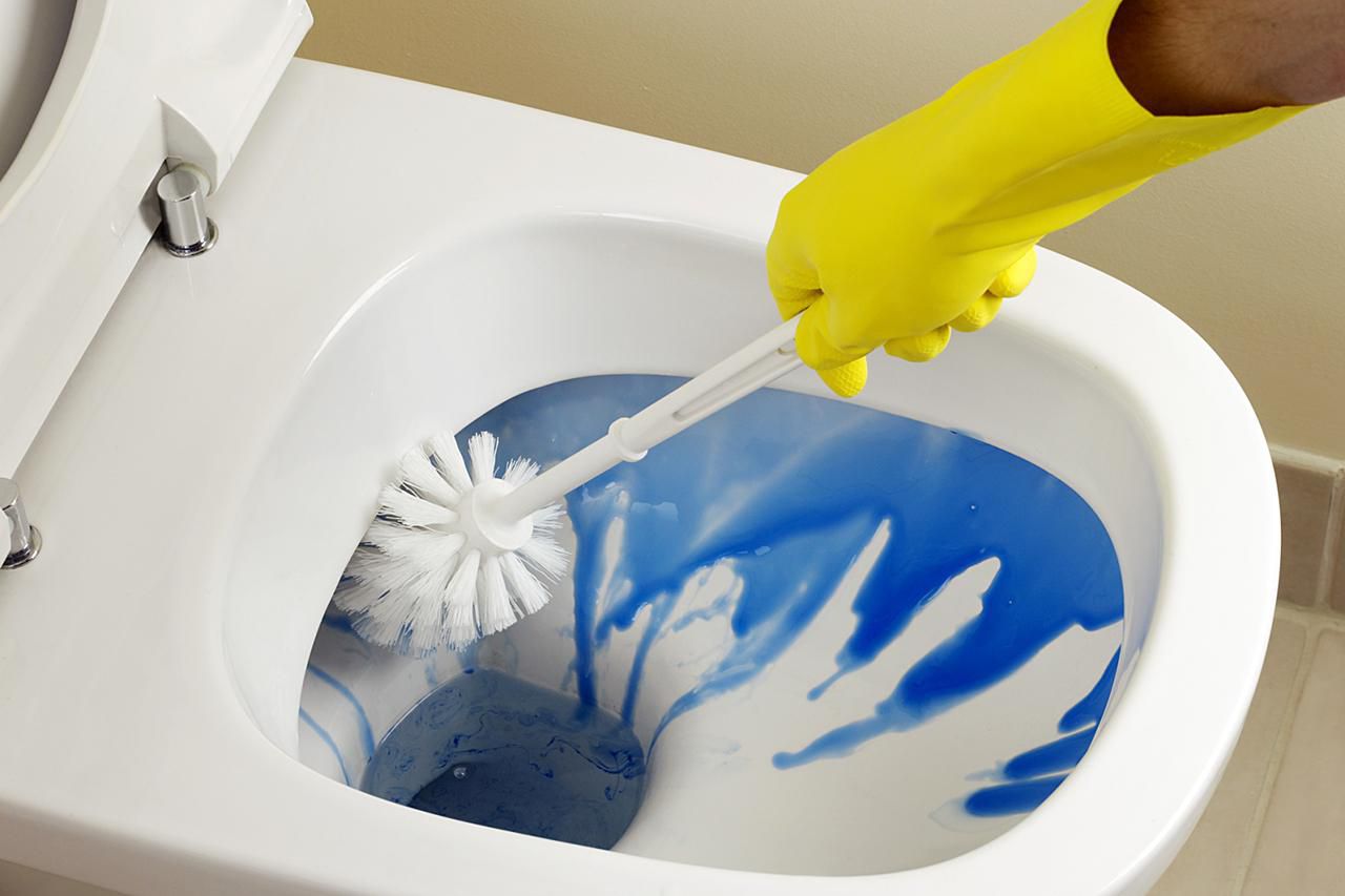14 Best Toilet Bowl Scrubber for 2024